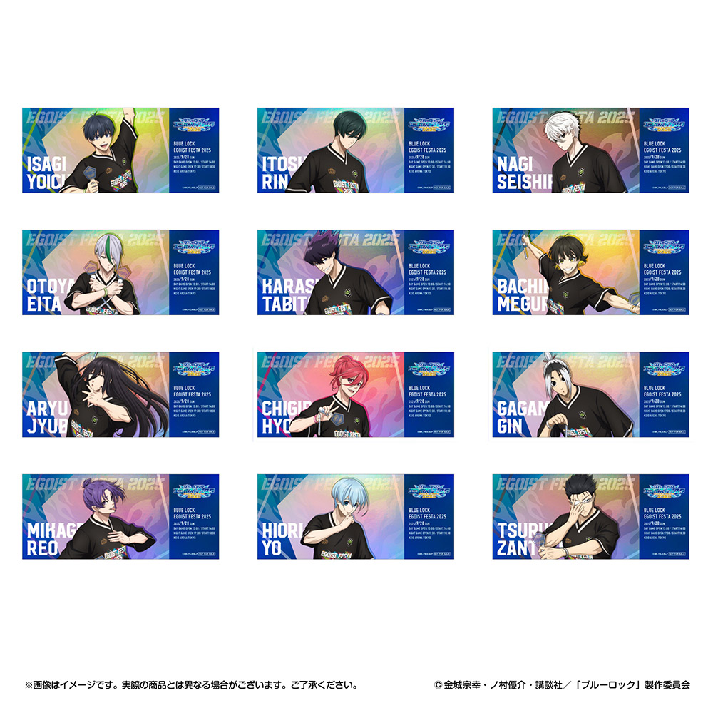 チケット風カード(全12種)