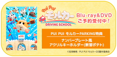 PUI PUI　モルカー DRIVING SCHOOL Blu-ray・DVDご予約受付中！