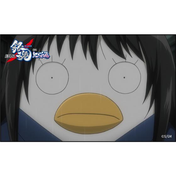 劇場版 銀魂 新訳紅桜篇 ステッカーセット（全4種/各4枚入り） 【2025