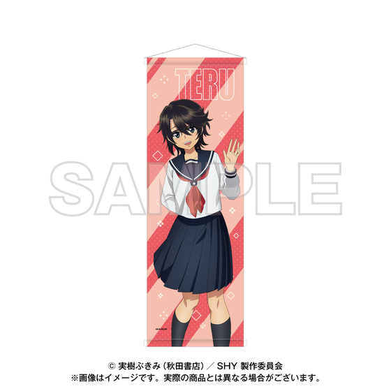 SHY B2ハーフタペストリー(全5種) | A-on STORE