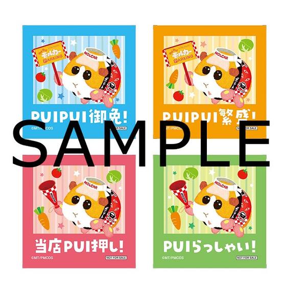 PUIPUIモルカー　モルだくさん！セット 000000001056_tCMKmO9.jpg