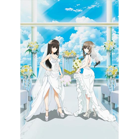 ガールズ＆パンツァー 戦車道少女寫眞集 拾【2024年4月中旬以降発送