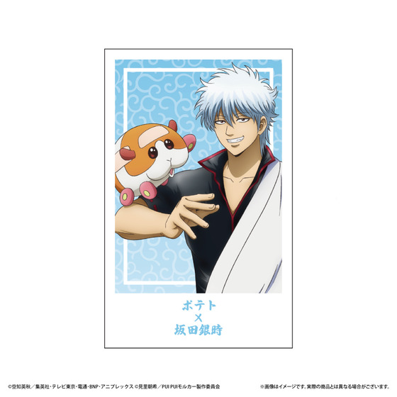 銀魂×PUI PUI モルカー　POP UP STORE　～モルカーに乗ってもかもしれない運転でいけ～ トレーディングフォト風カード(全16種/ランダム1種入り)【2026年8月下旬頃お届け予定】_画像2