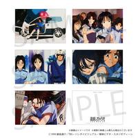 逮捕しちゃうぞ ポストカード５枚セットthe  MOVIE 【2025年7月中旬以降発送】
