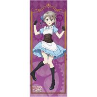 プリンセス・プリンシパル Crown Handler 第4章 BIG全身タペストリー（全5種）