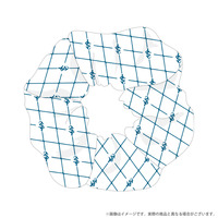 シュシュ　十 龍之介_画像1