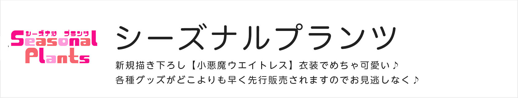 シーズナルプランツ