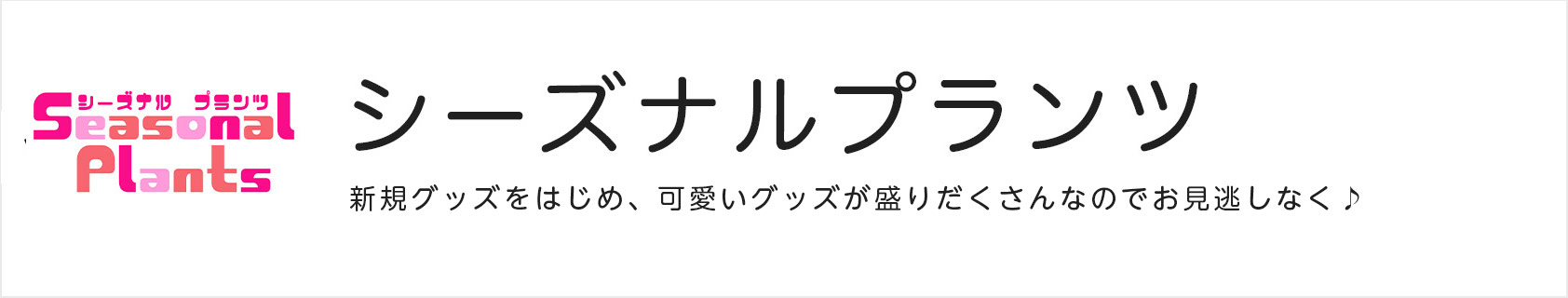 シーズナルプランツ